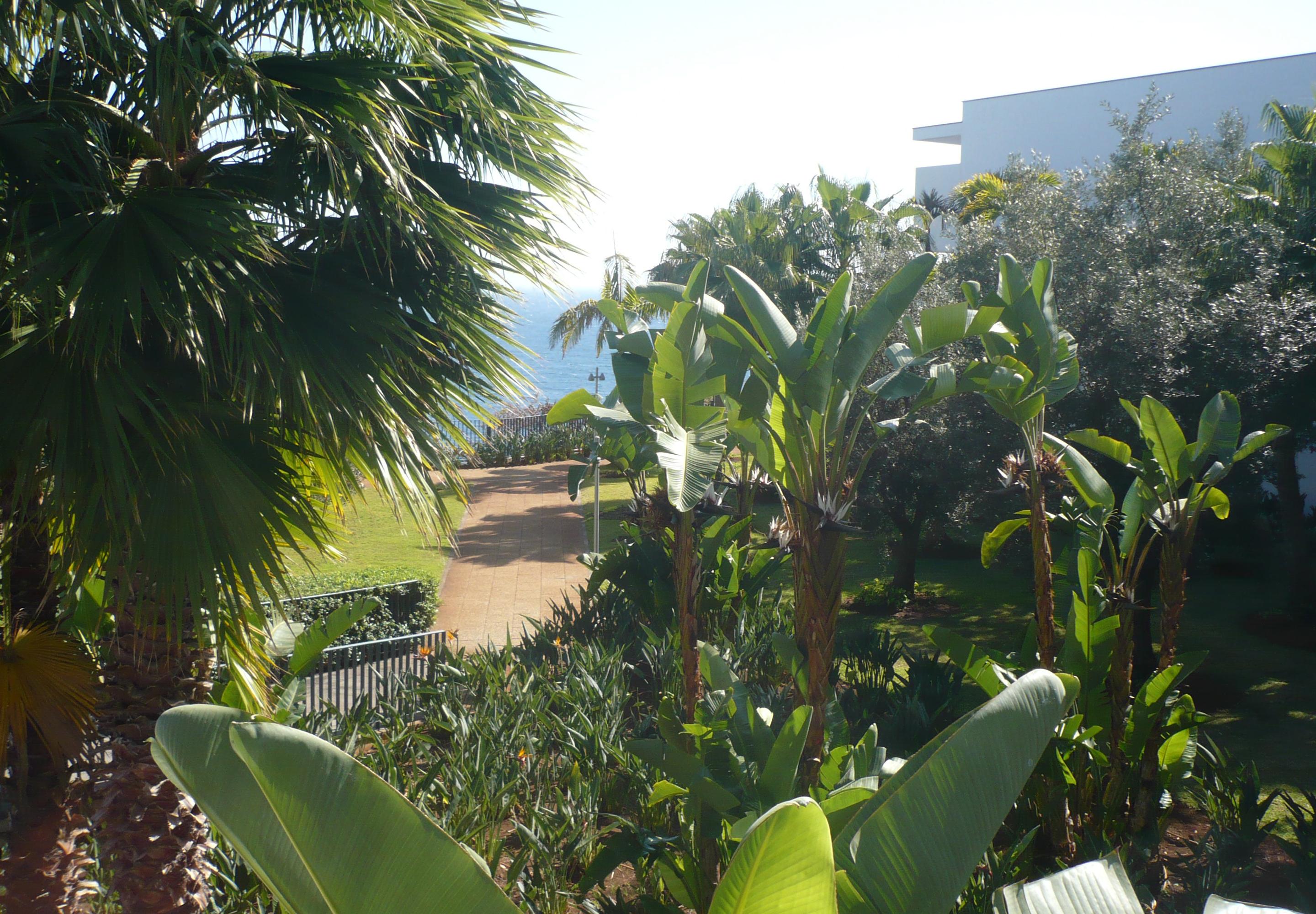 Vidamar Resort Hotel Madeira Funchal  Exterior foto
